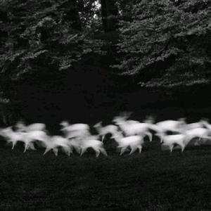 扒开女仆❌狂揉❌难受
